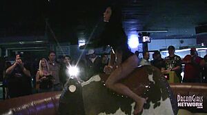 Fete fierbinți în lenjerie intimă călăresc tauri la un bar local